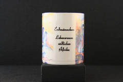 Tier-T.3.4.CO-Erdmaennchen-02