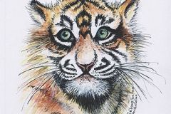 Tigerbaby