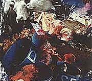 BSE 1995